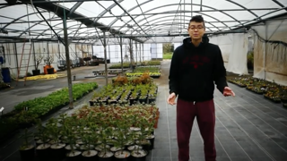 8 adultes en BP REA au CNPH-Piverdière ont eu la responsabilité de mettre en culture des tomates... 8 adultes en BP REA au CNPH-Piverdière ont eu la responsabilité de mettre en culture des tomates...